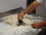 Foto - Preparazione della Focaccia della Zizzola